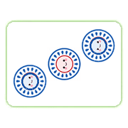 013