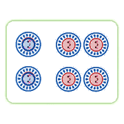017