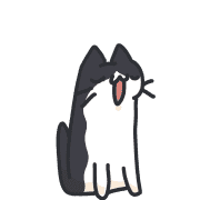 019
