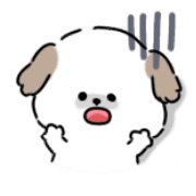 005
