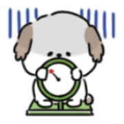 031