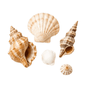 040
