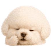 020
