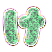 009