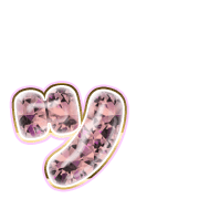 132