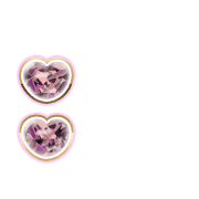 244