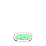 250