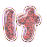 009
