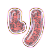 040