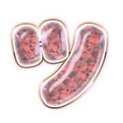 098