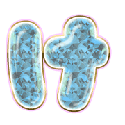 009