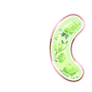234