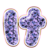 009