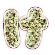 009