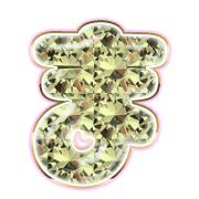 031