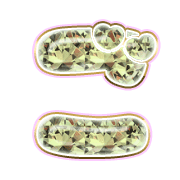 060