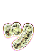 132
