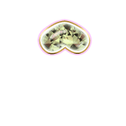 231