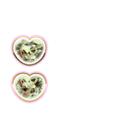 244
