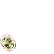 256