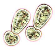 268