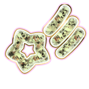273