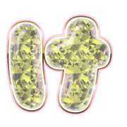 009
