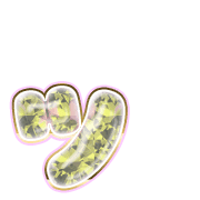 132