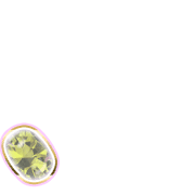 256