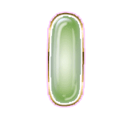 199
