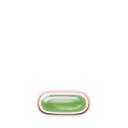 250