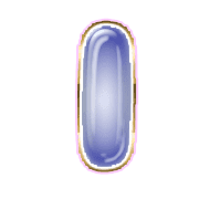 199