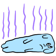 003