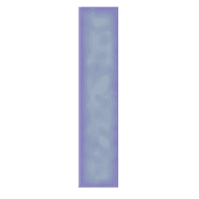 081