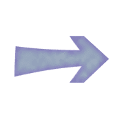 101