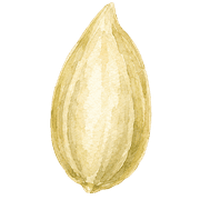 008