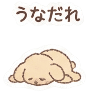 010