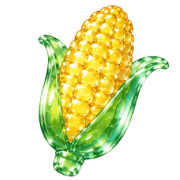 019