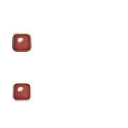 244