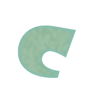 029