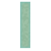 081