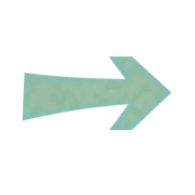 101
