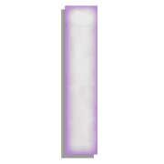 081