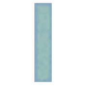 081