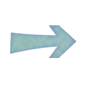 101