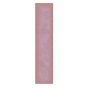 081
