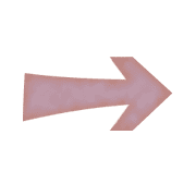101