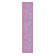 081