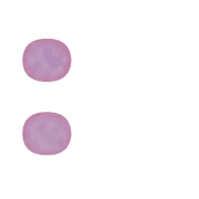 083