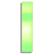 081